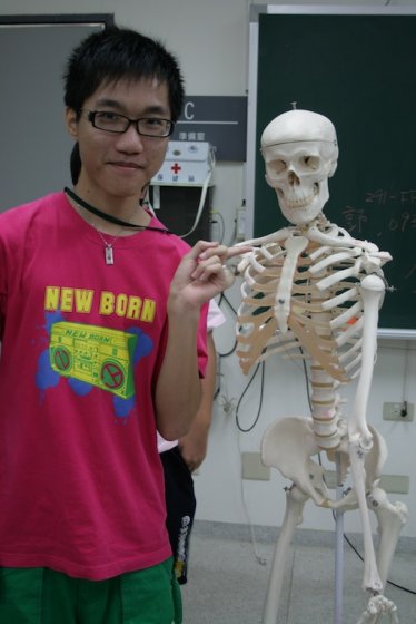 人骨拼圖