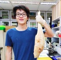 裝飾性圖片