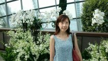 裝飾性圖片